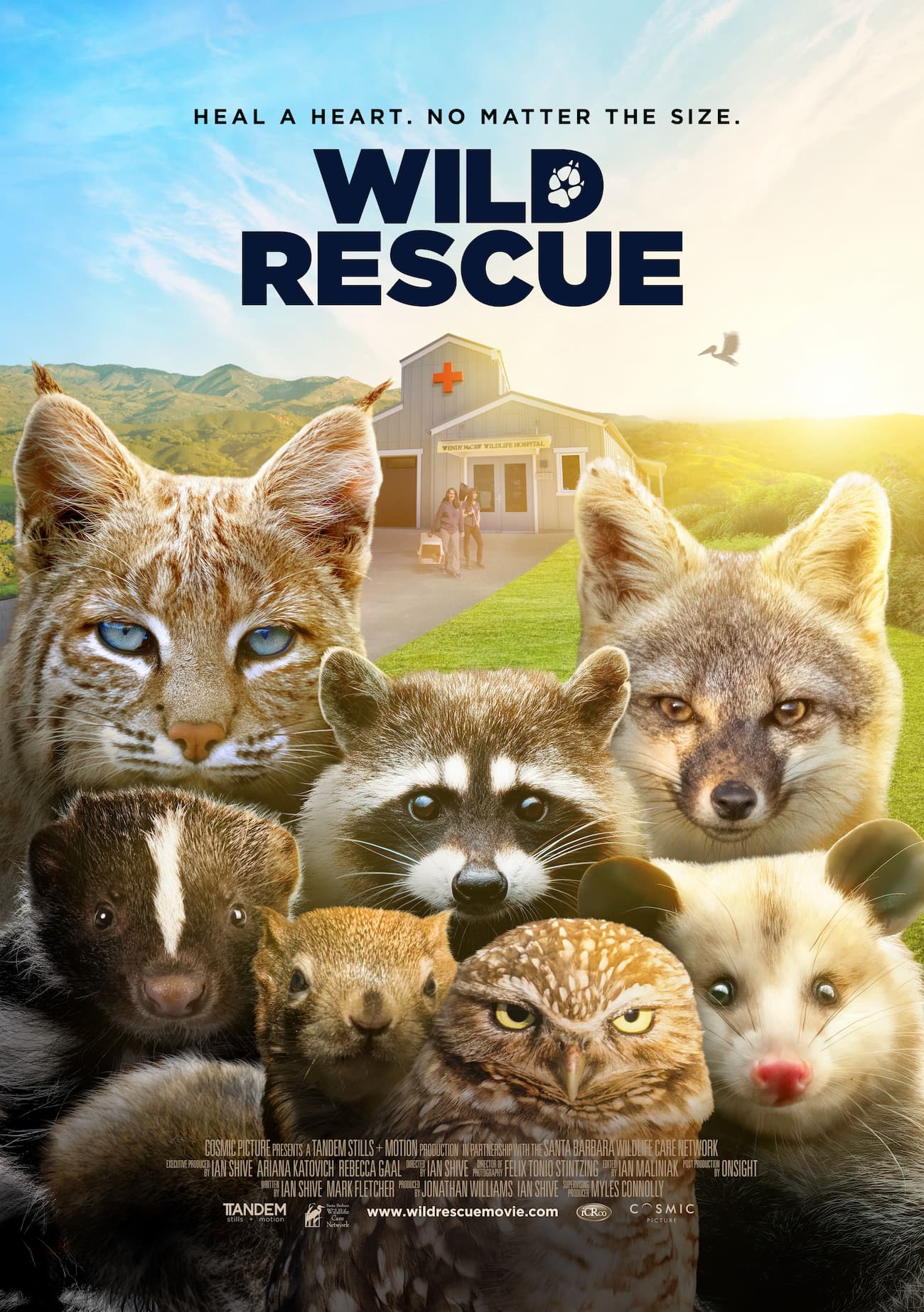Wild Rescue
