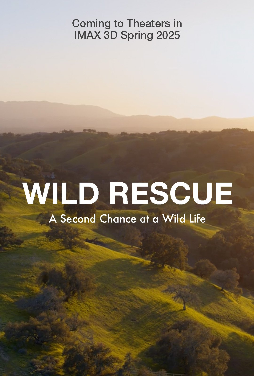 Wild Rescue