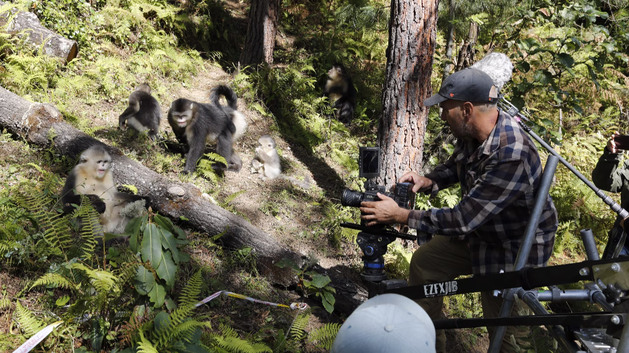 Back from the Brink Film