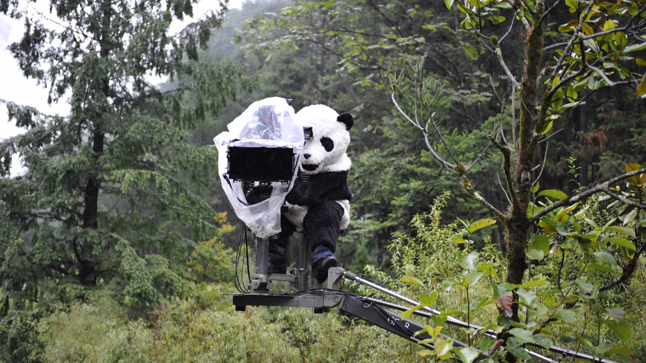 Pandas – The Journey Home Film
