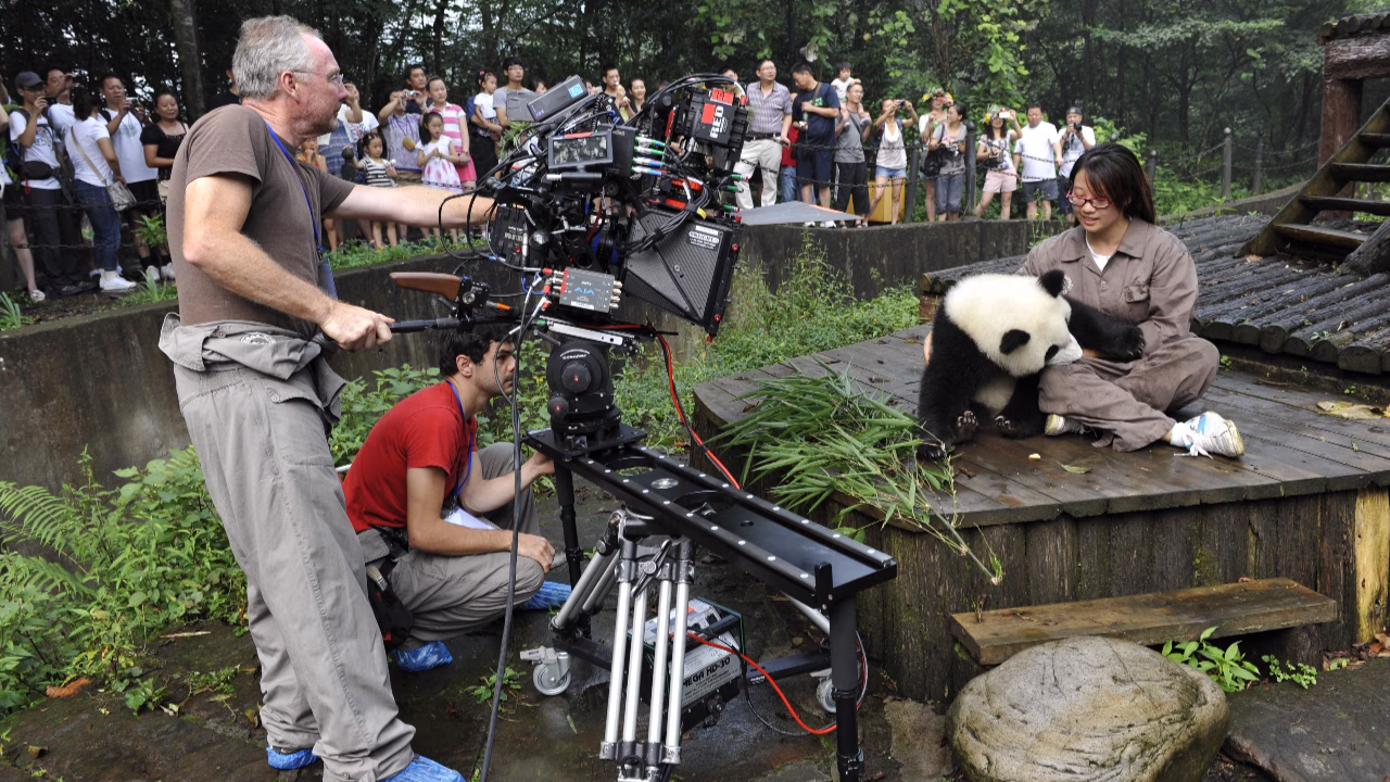 Pandas – The Journey Home Film