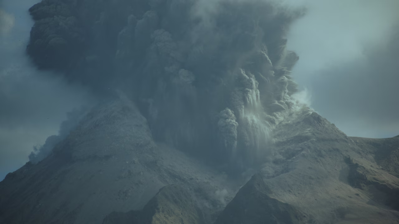 Forces of Nature Film