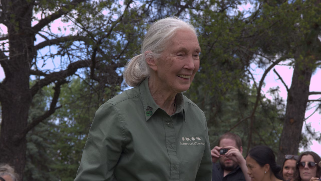Jane Goodall – Reasons For Hope Film