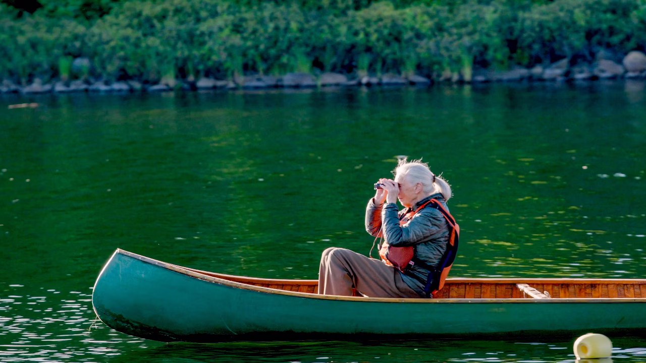 Jane Goodall – Reasons For Hope Film