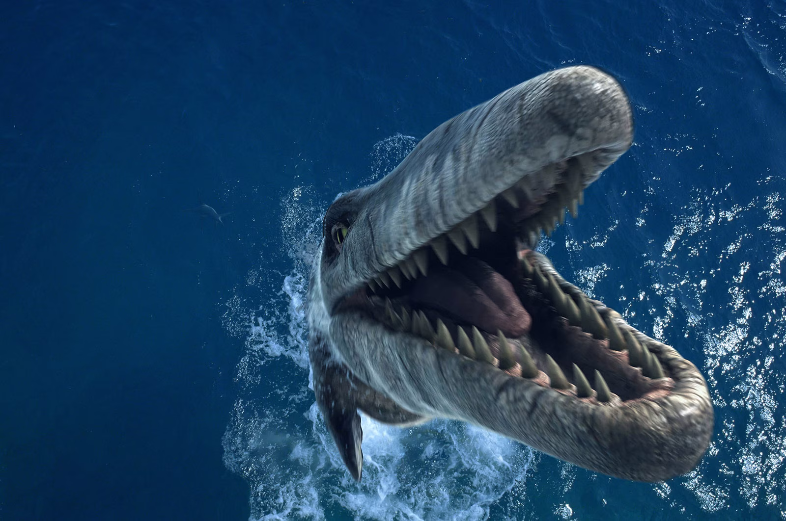 Sea Monsters Film