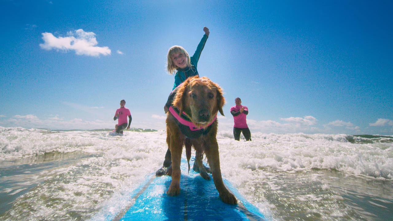 Superpower Dogs Film