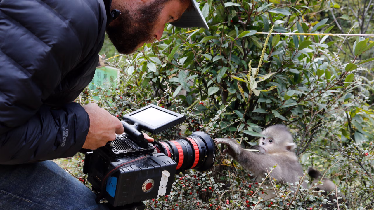 Back from the Brink Film